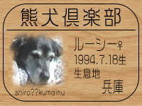 DOGLAB�����HP��GO!